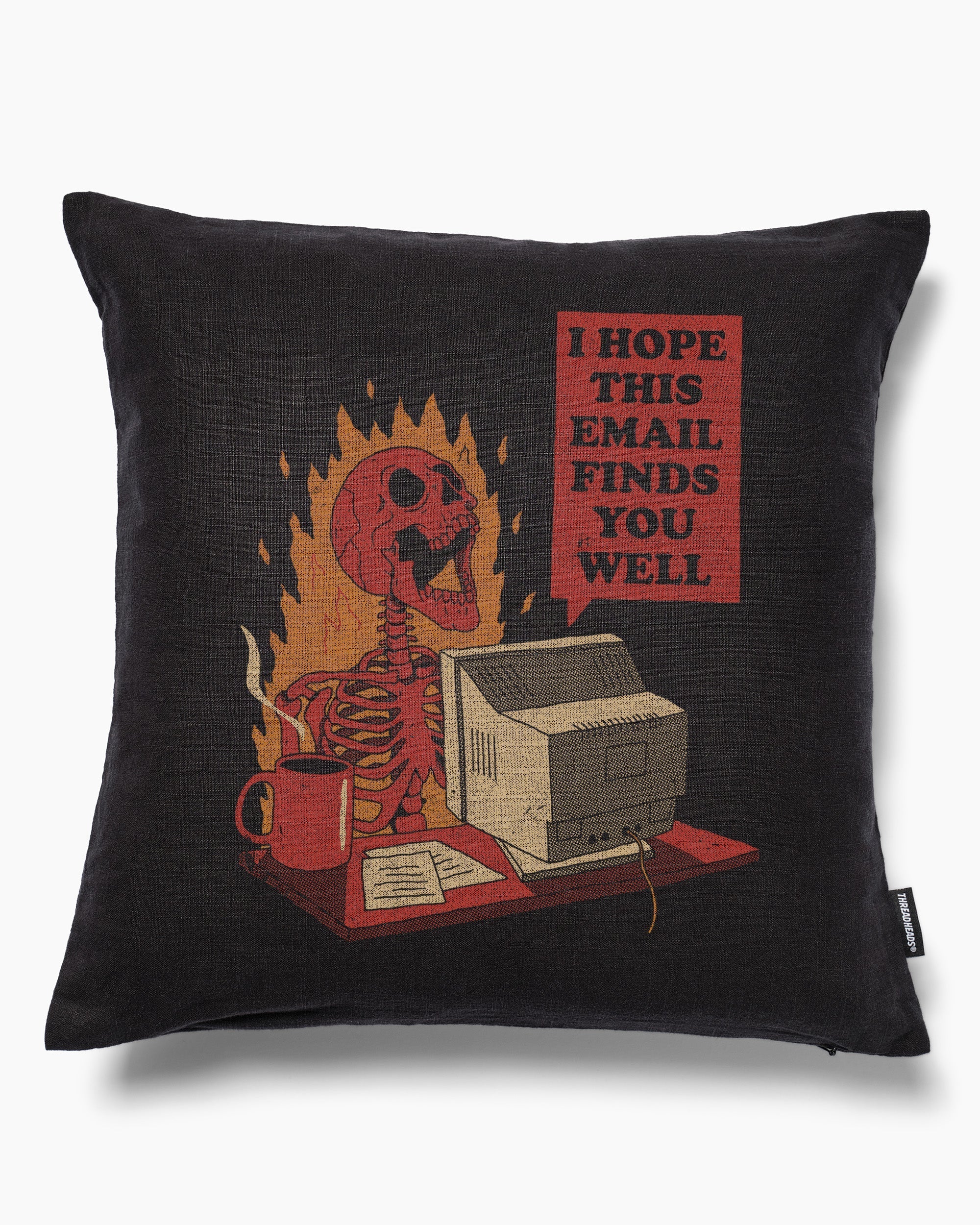 You Got Mail Cushion
