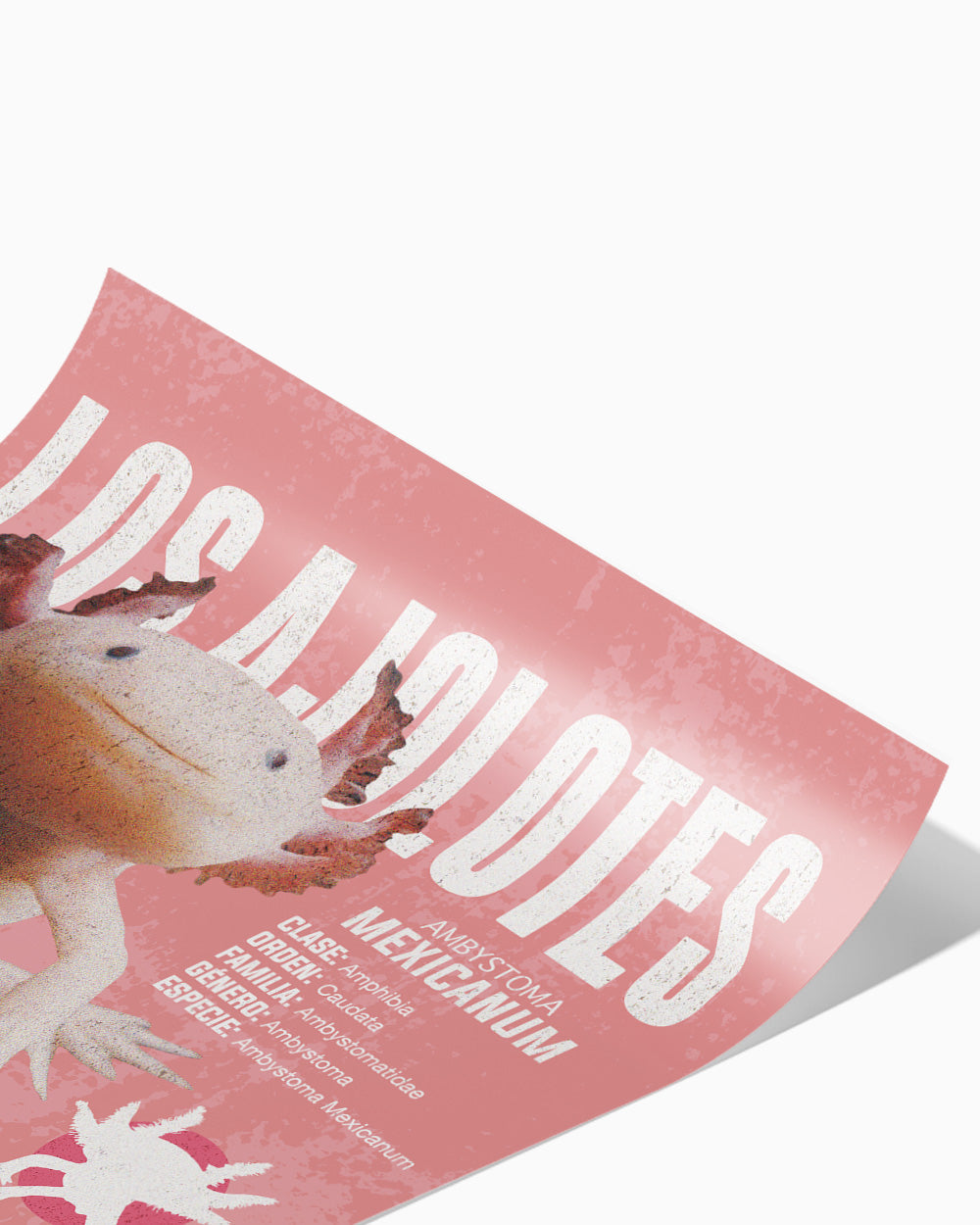 Los Ajolotes Art Print