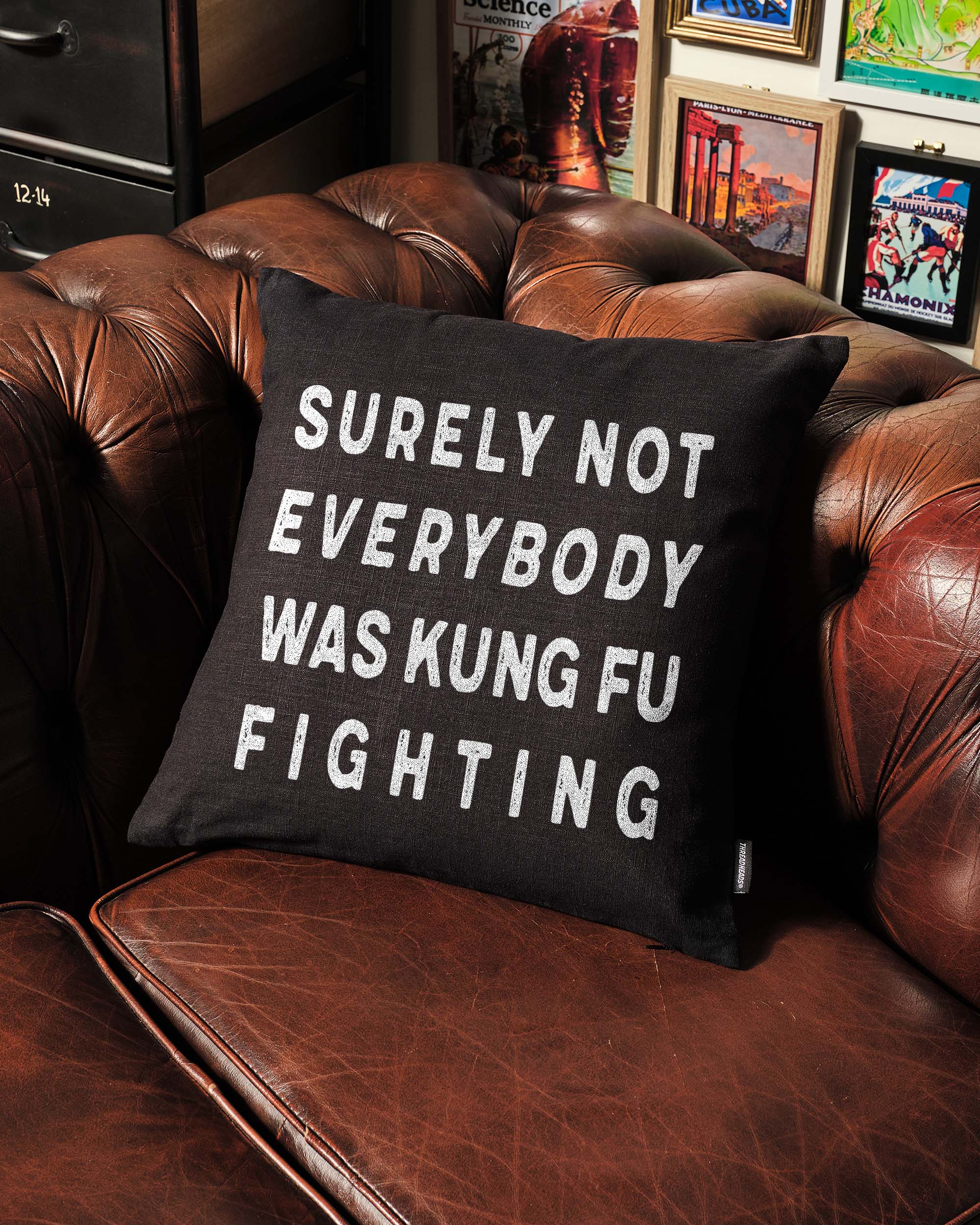 Kung Fu Fighting Cushion