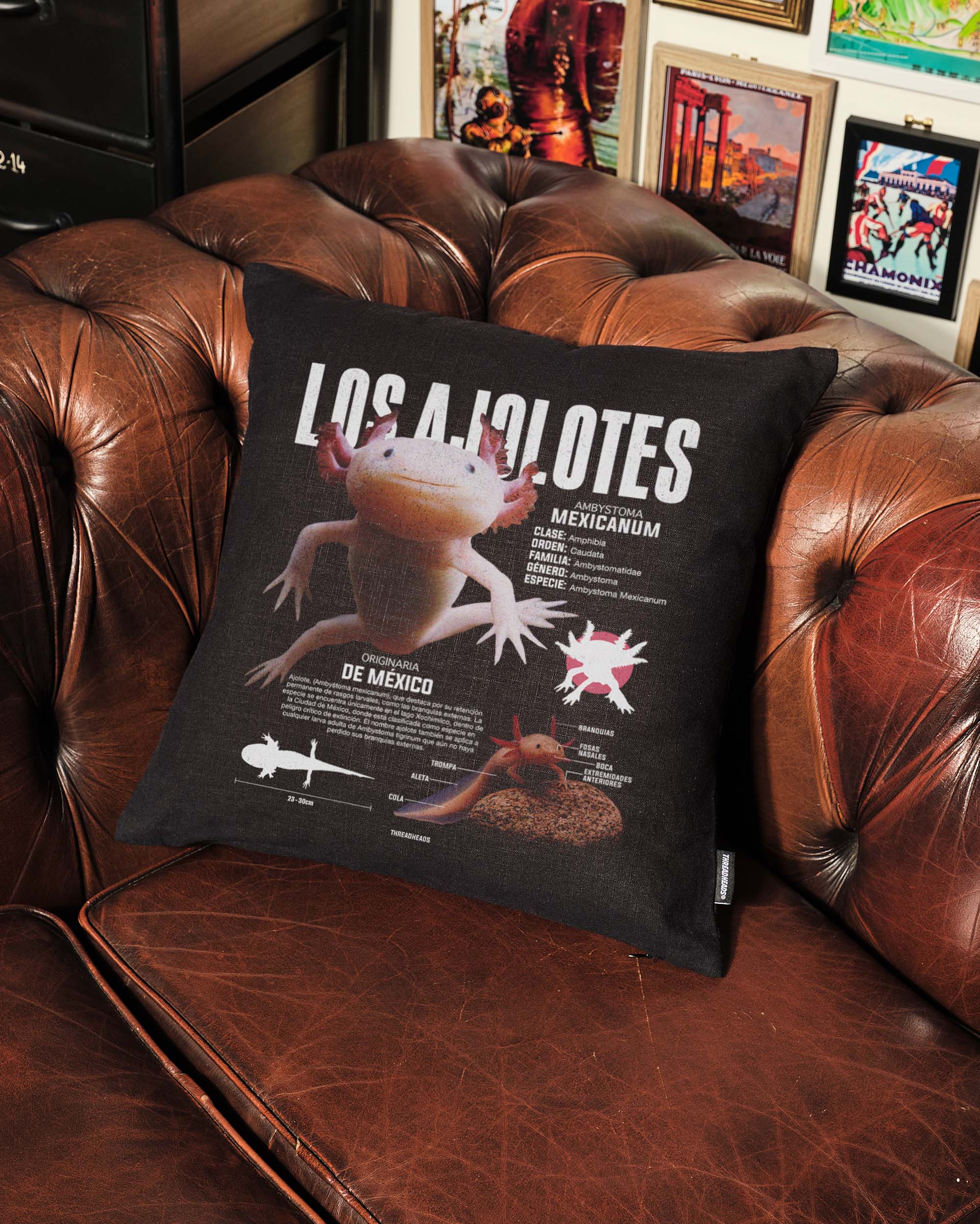 Los Ajolotes Cushion