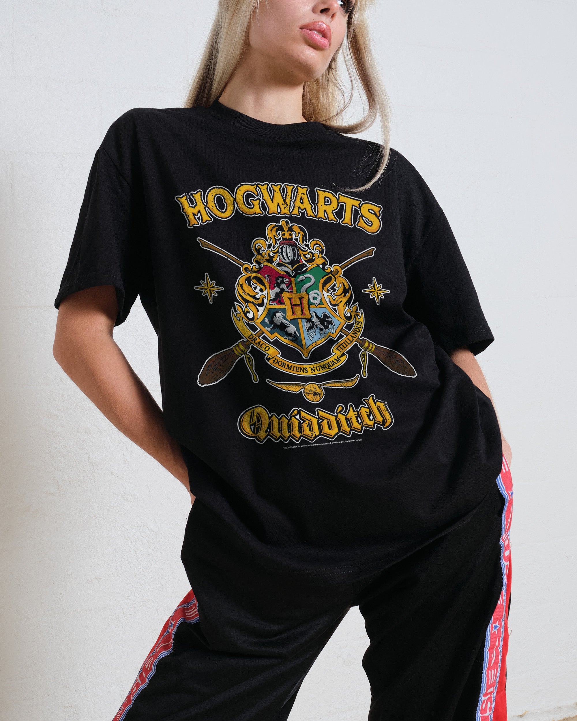 Hogwarts Quidditch Shield T-Shirt