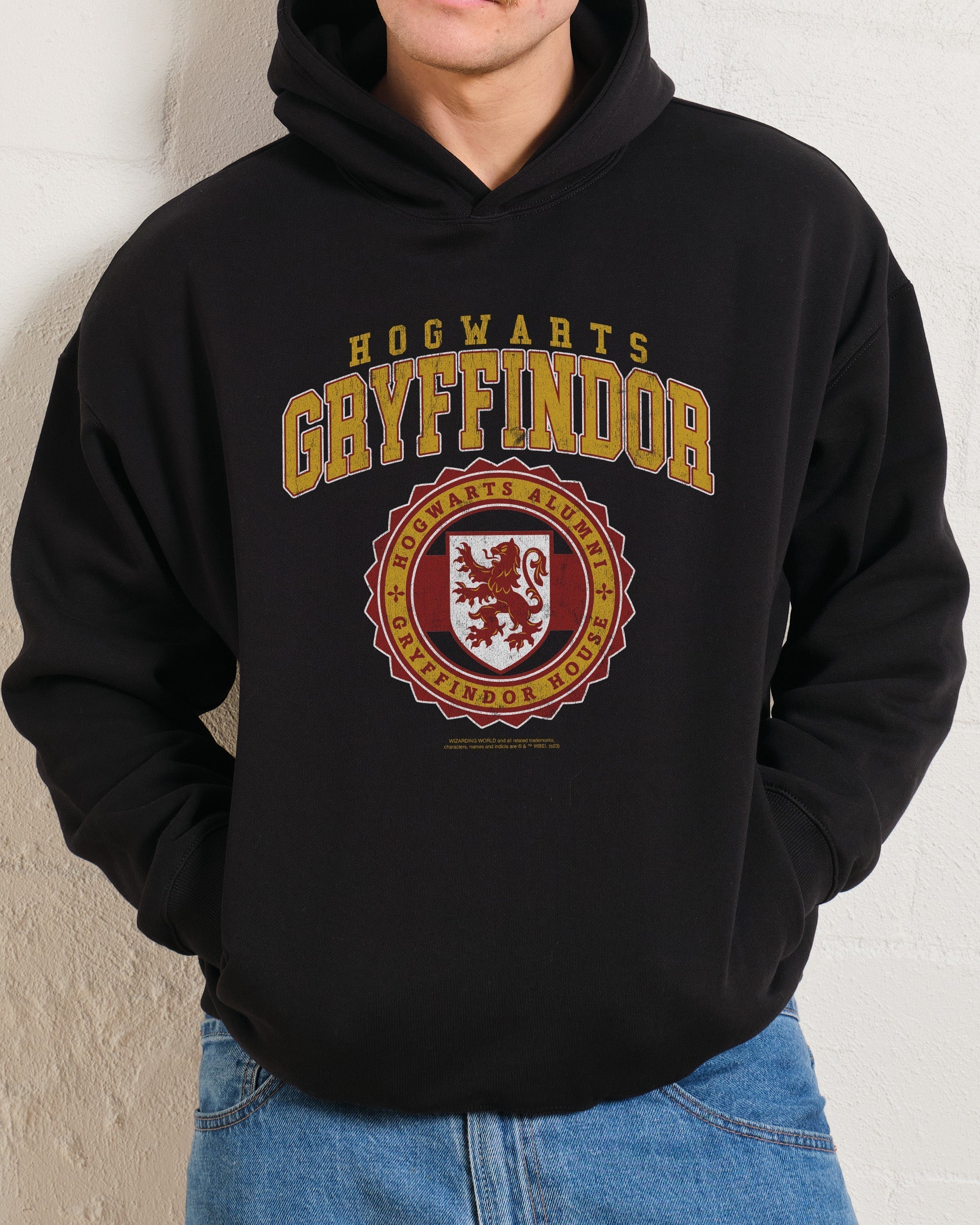 Gryffindor College Hoodie