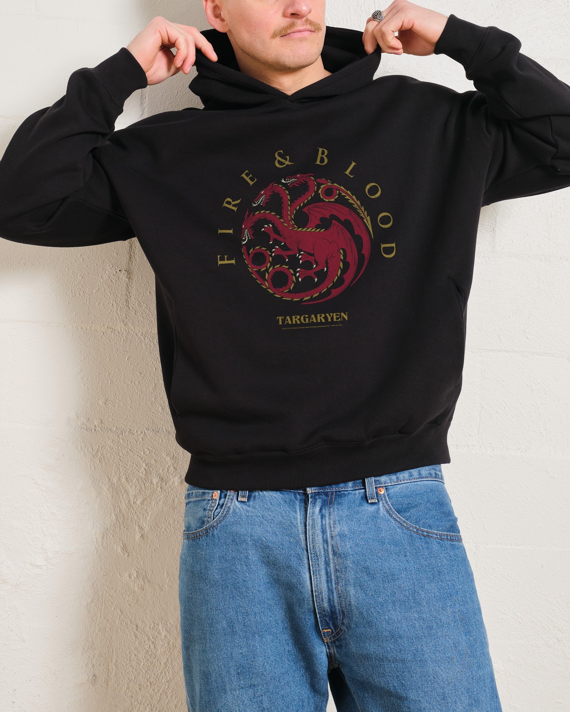 House Targaryen Hoodie