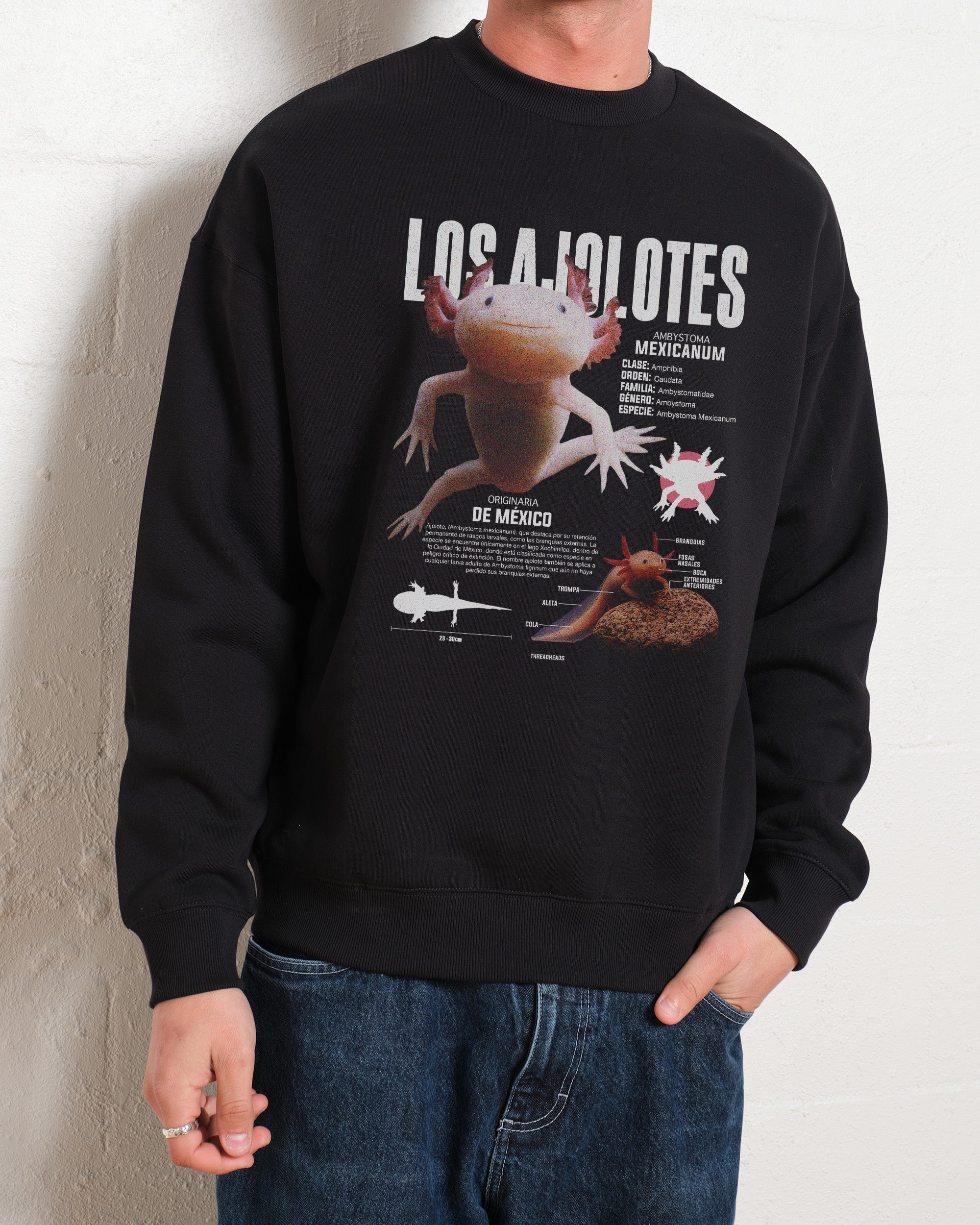 Los Ajolotes Sweatshirt