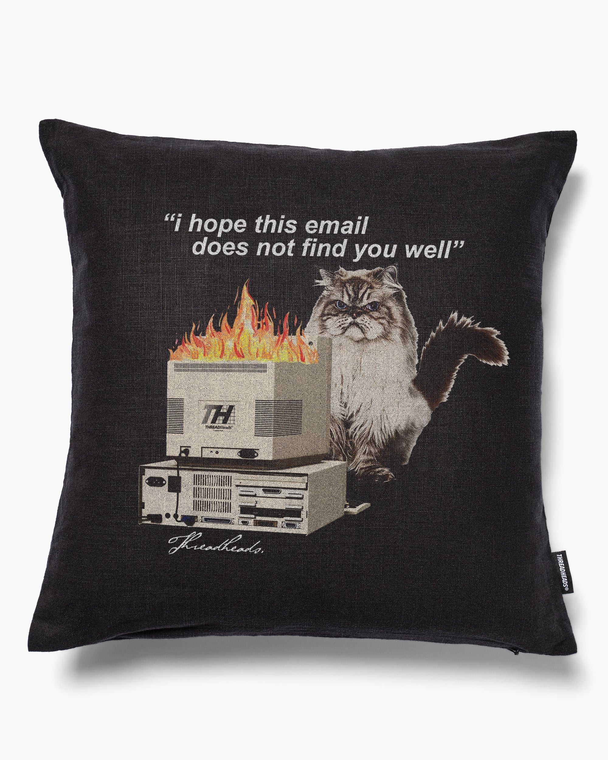 I Hope This Email Cushion