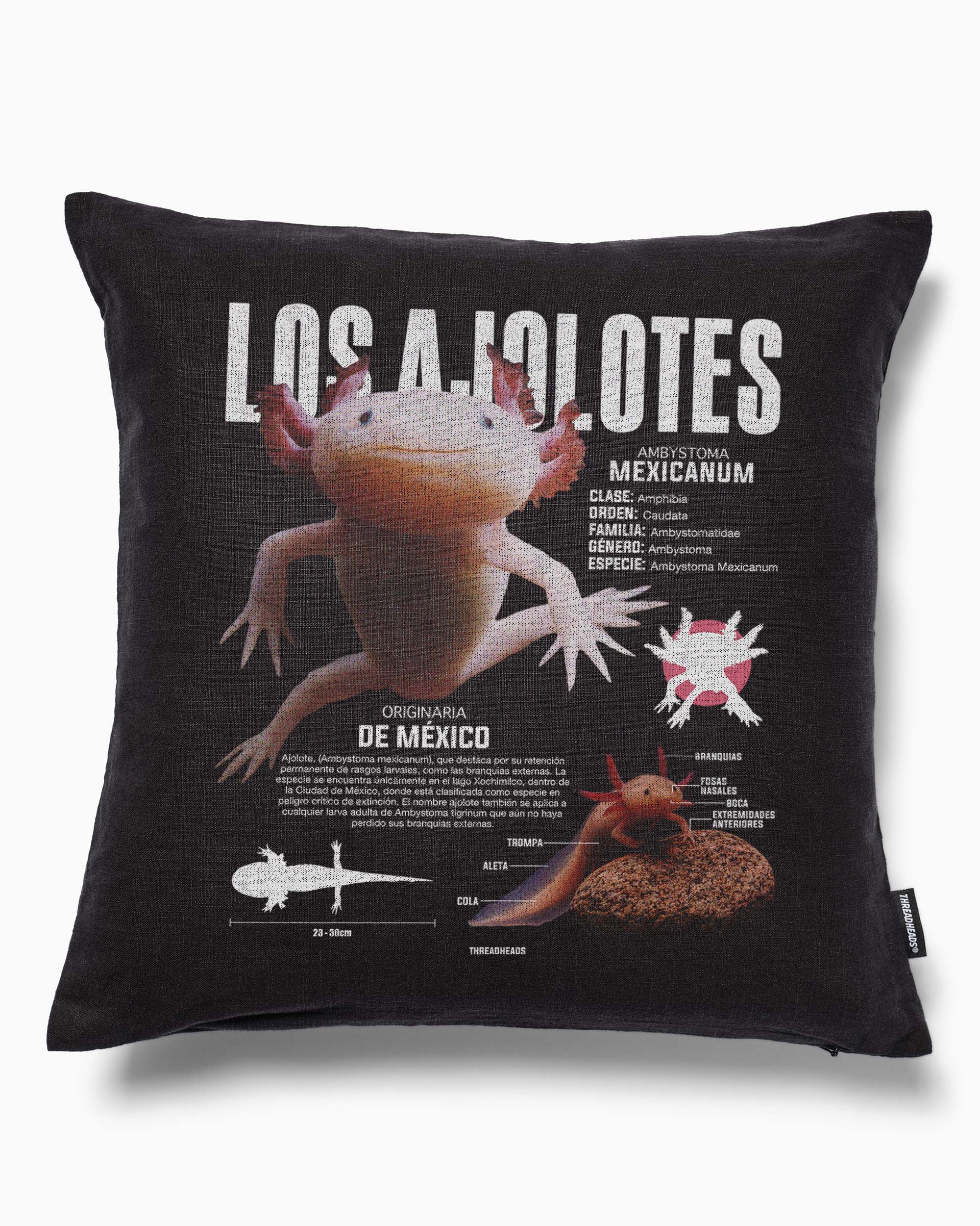 Los Ajolotes Cushion