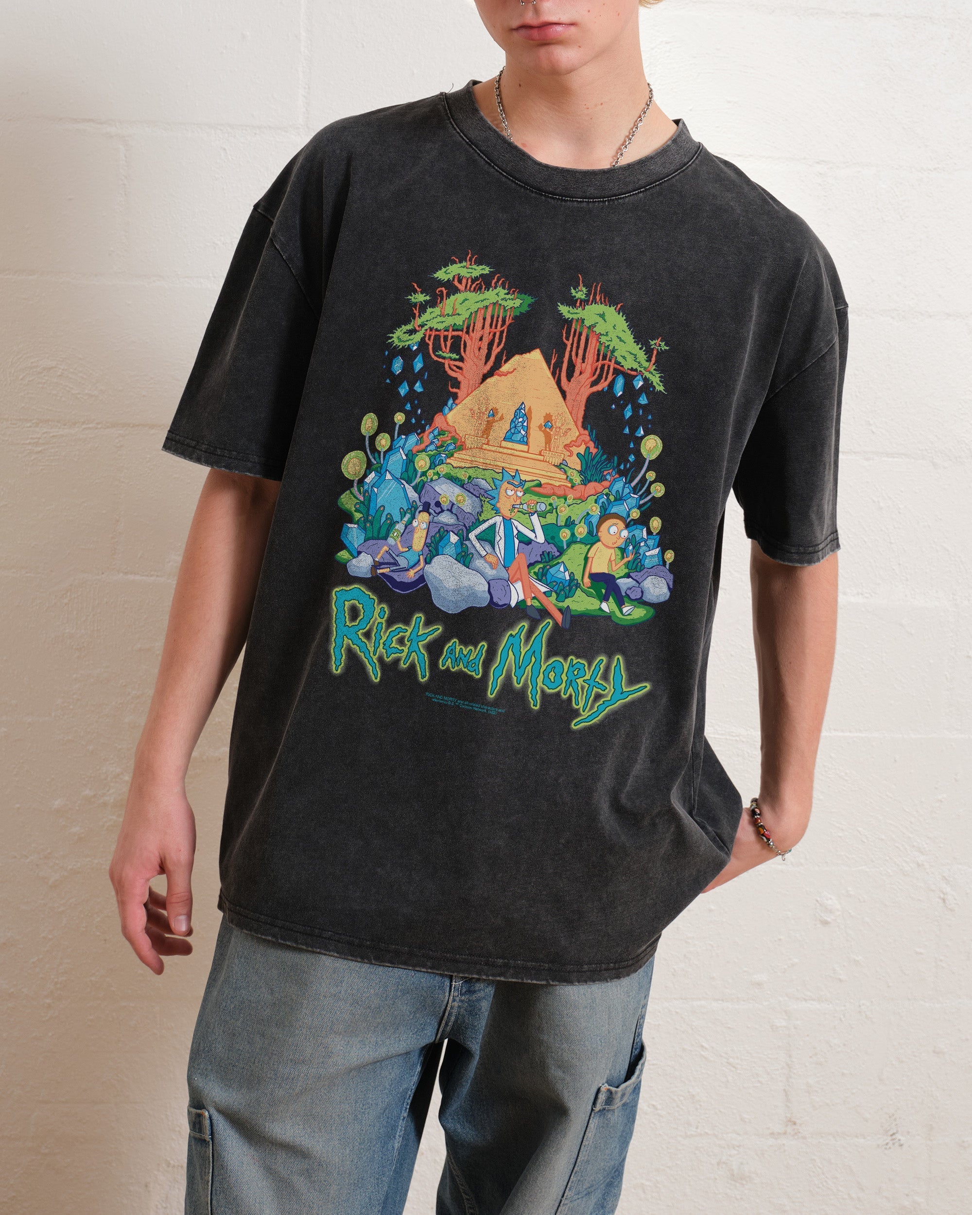 Rick and Morty Rest and Relaxation Wash Tee