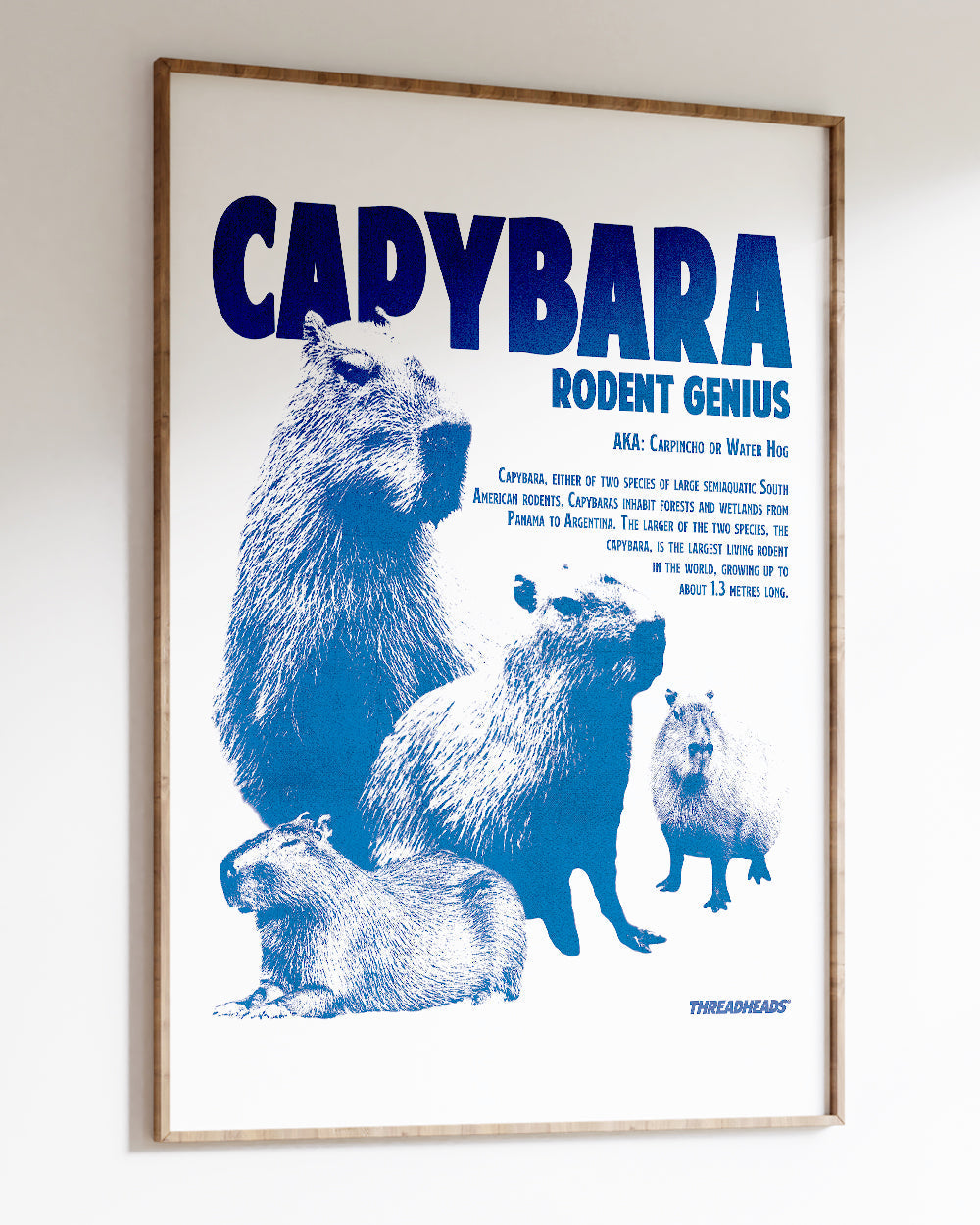 Capybara Rodent Genius Art Print