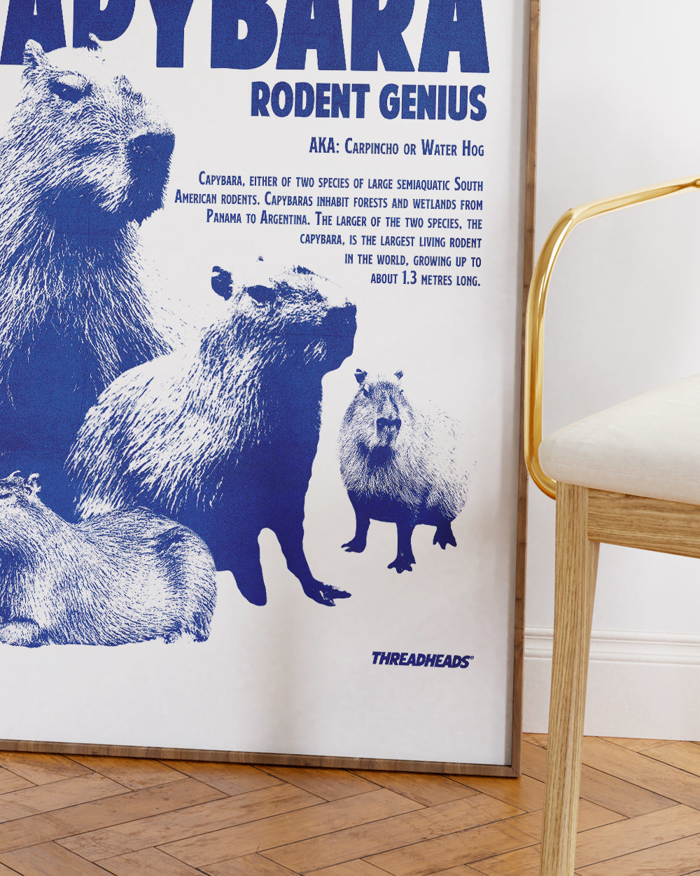 Capybara Rodent Genius Art Print