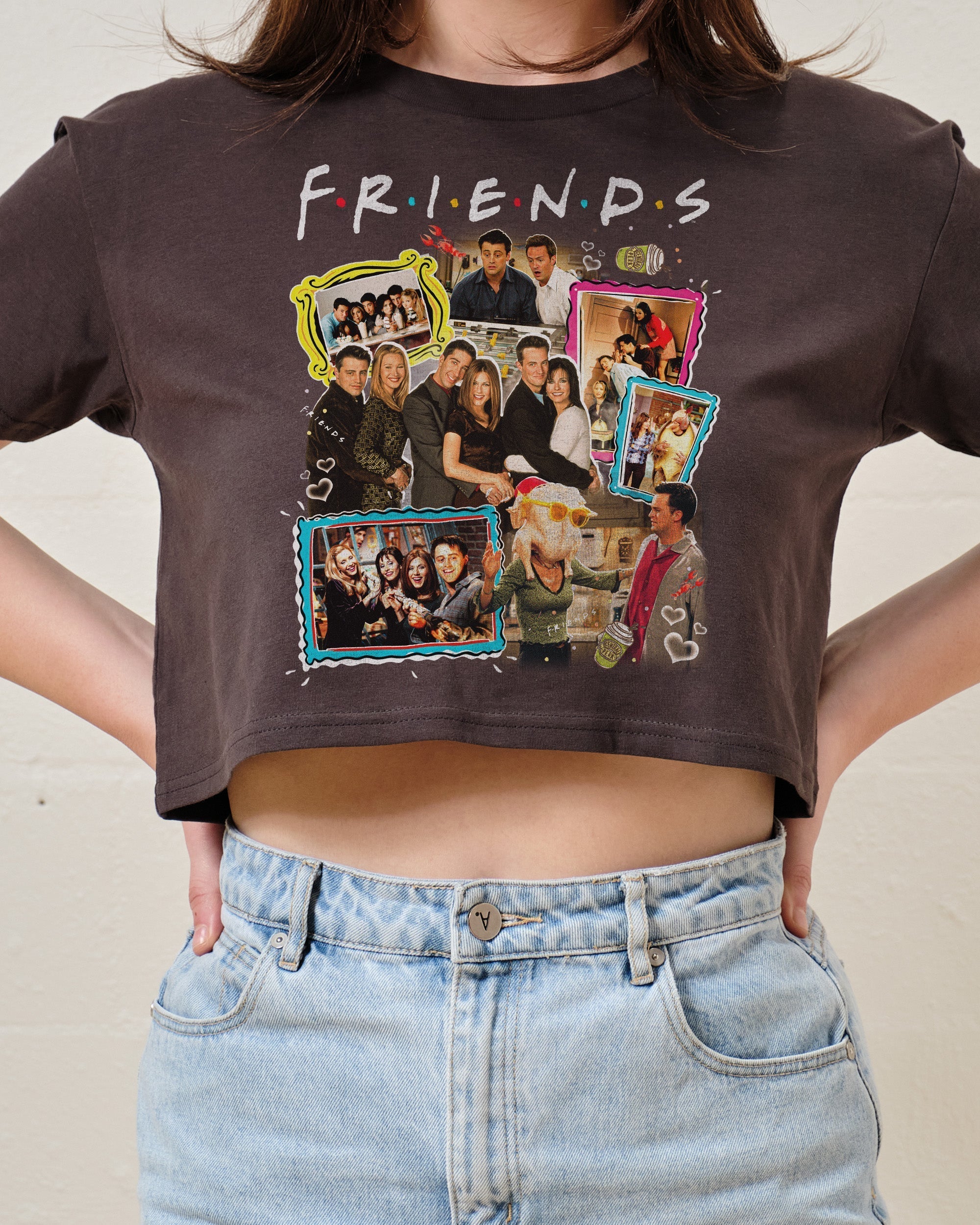 Friends Vintage Crop Tee