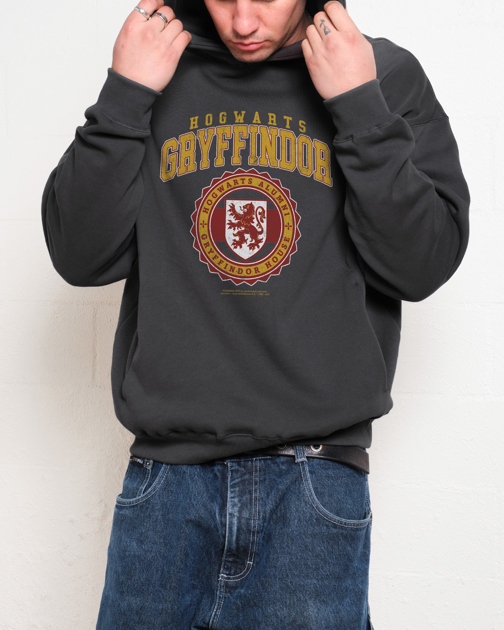 Gryffindor College Hoodie