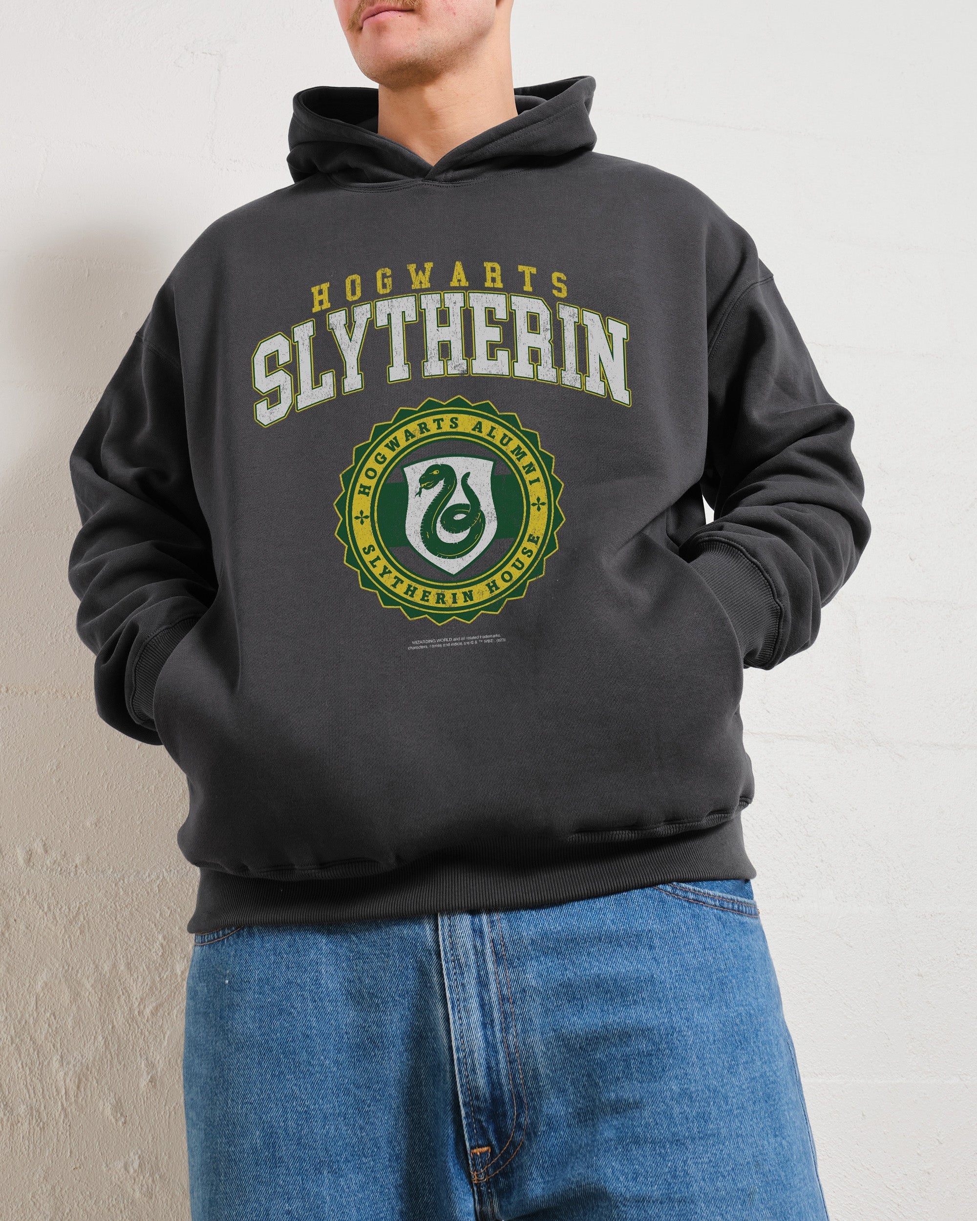 Slytherin College Hoodie