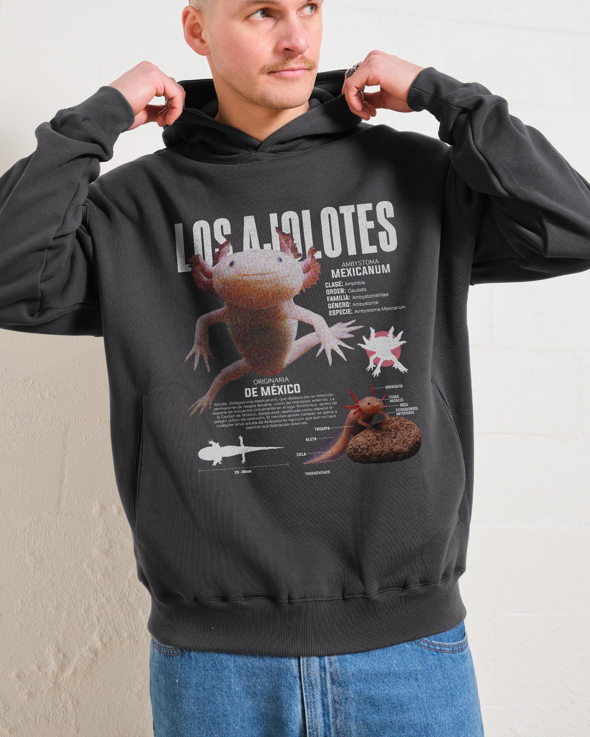 Los Ajolotes Hoodie