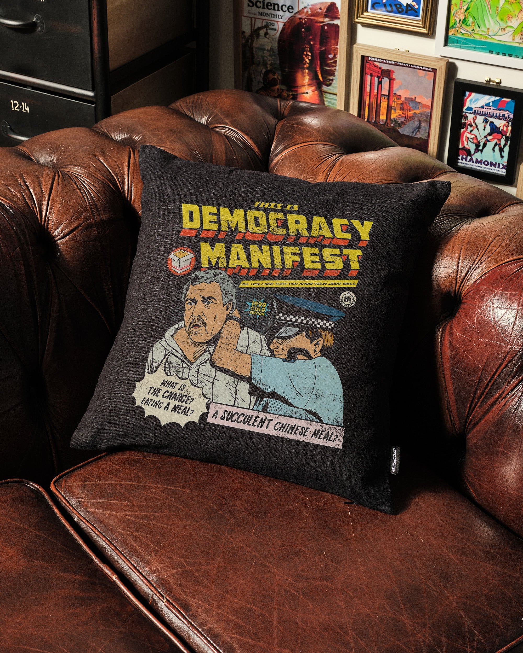 This is Democracy Manifest Cushion