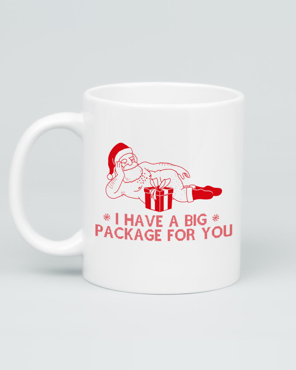 I Have a Big Package Mug