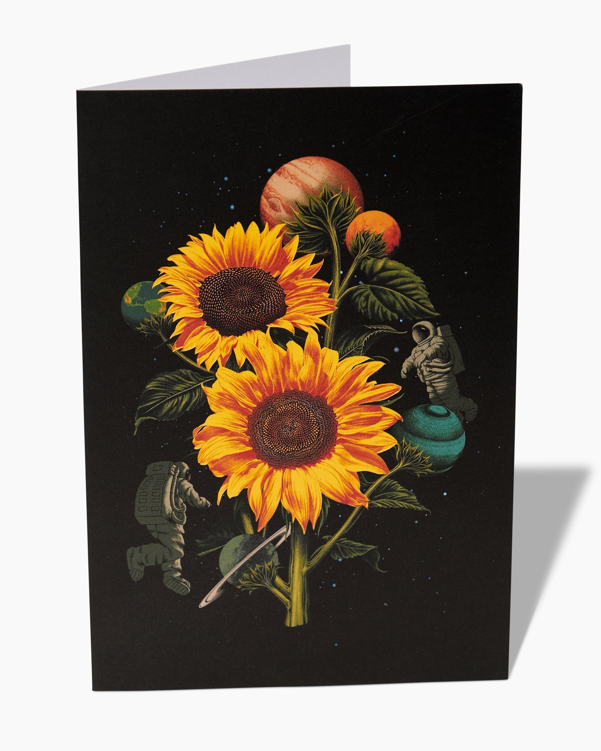 Sun Flowers Greeting Card