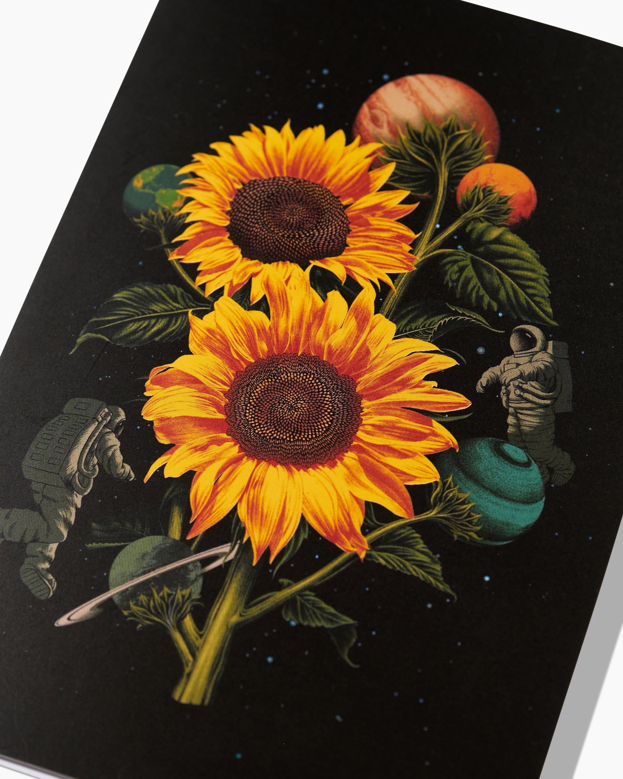 Sun Flowers Greeting Card