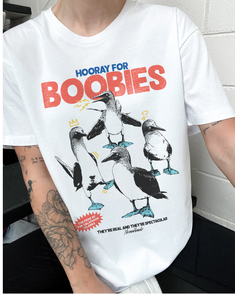 Hooray for Boobies T-Shirt