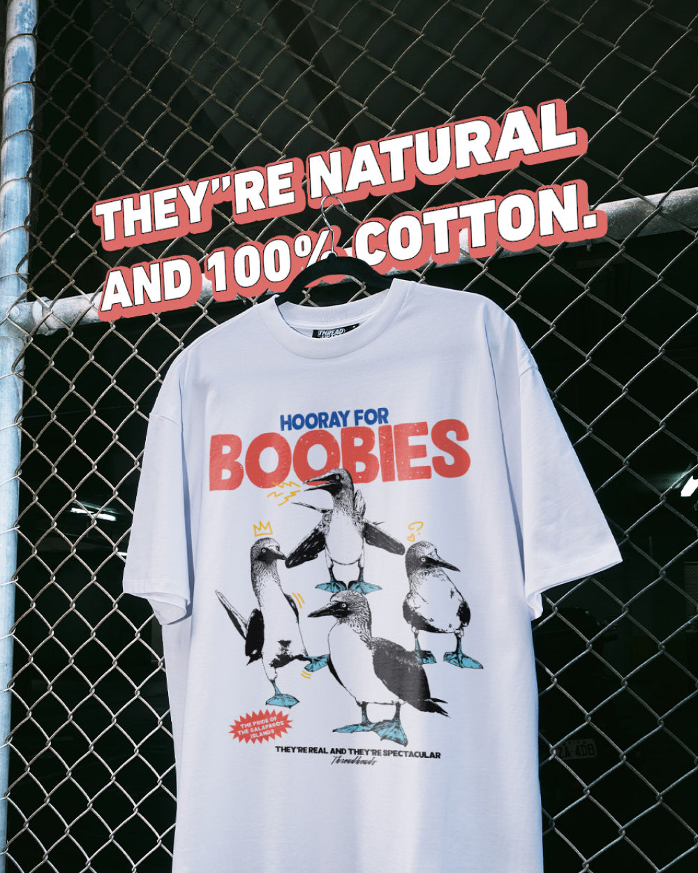 Hooray for Boobies T-Shirt