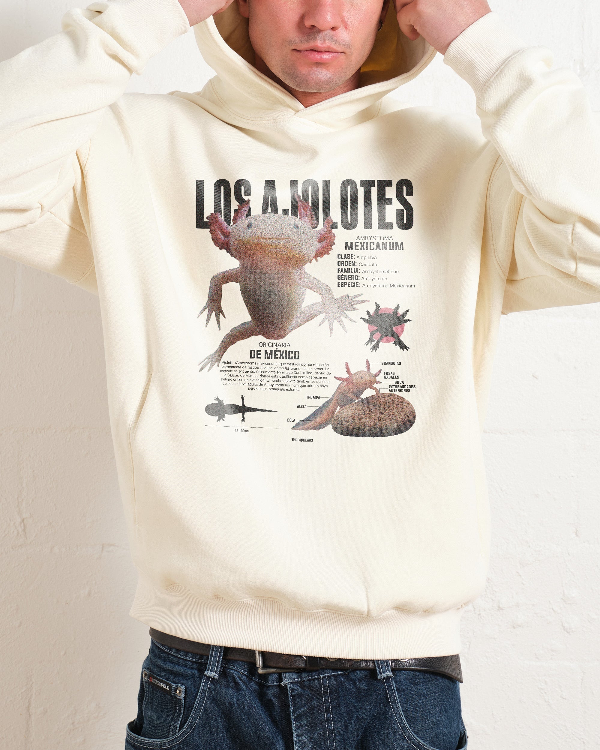 Los Ajolotes Hoodie