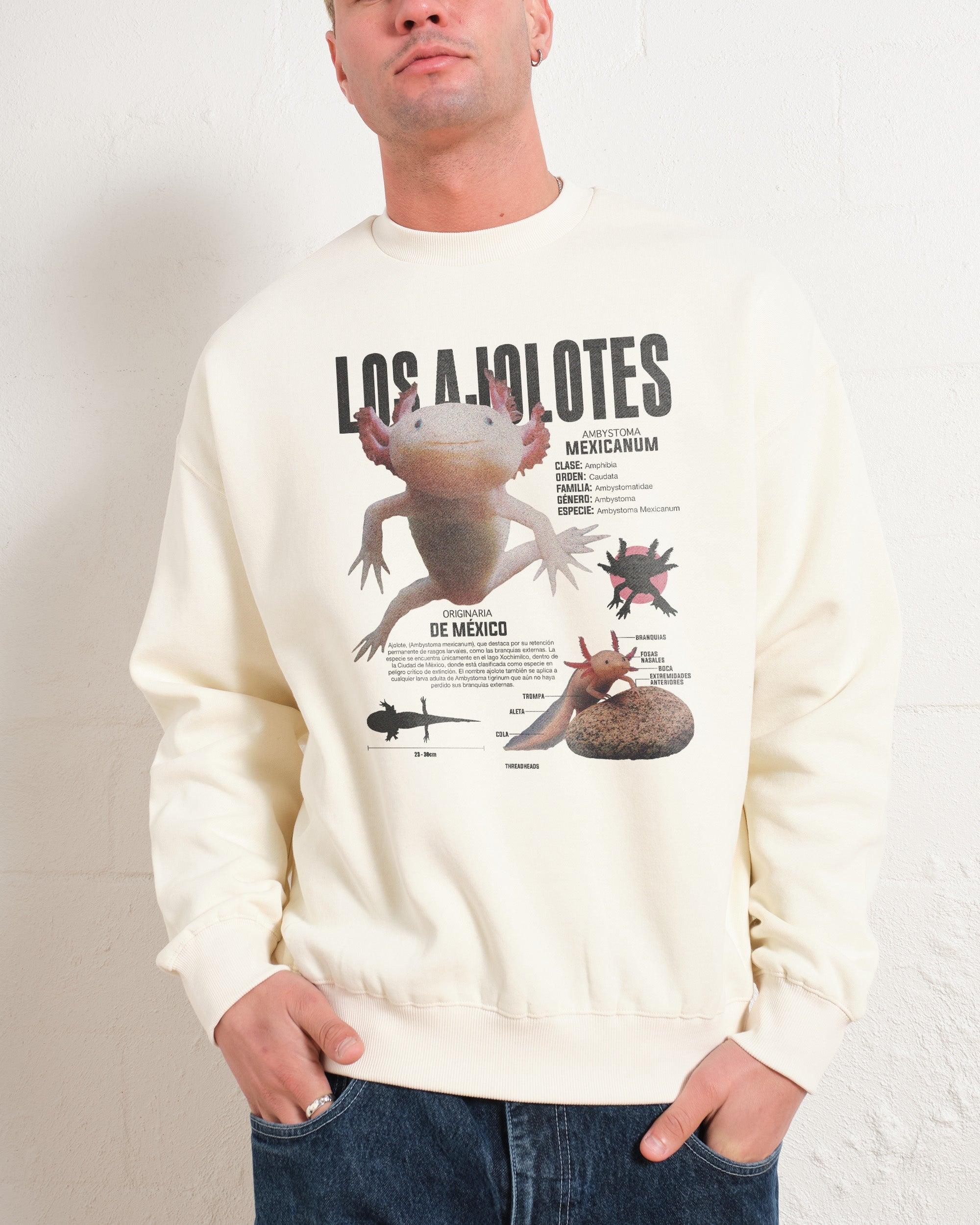 Los Ajolotes Sweatshirt
