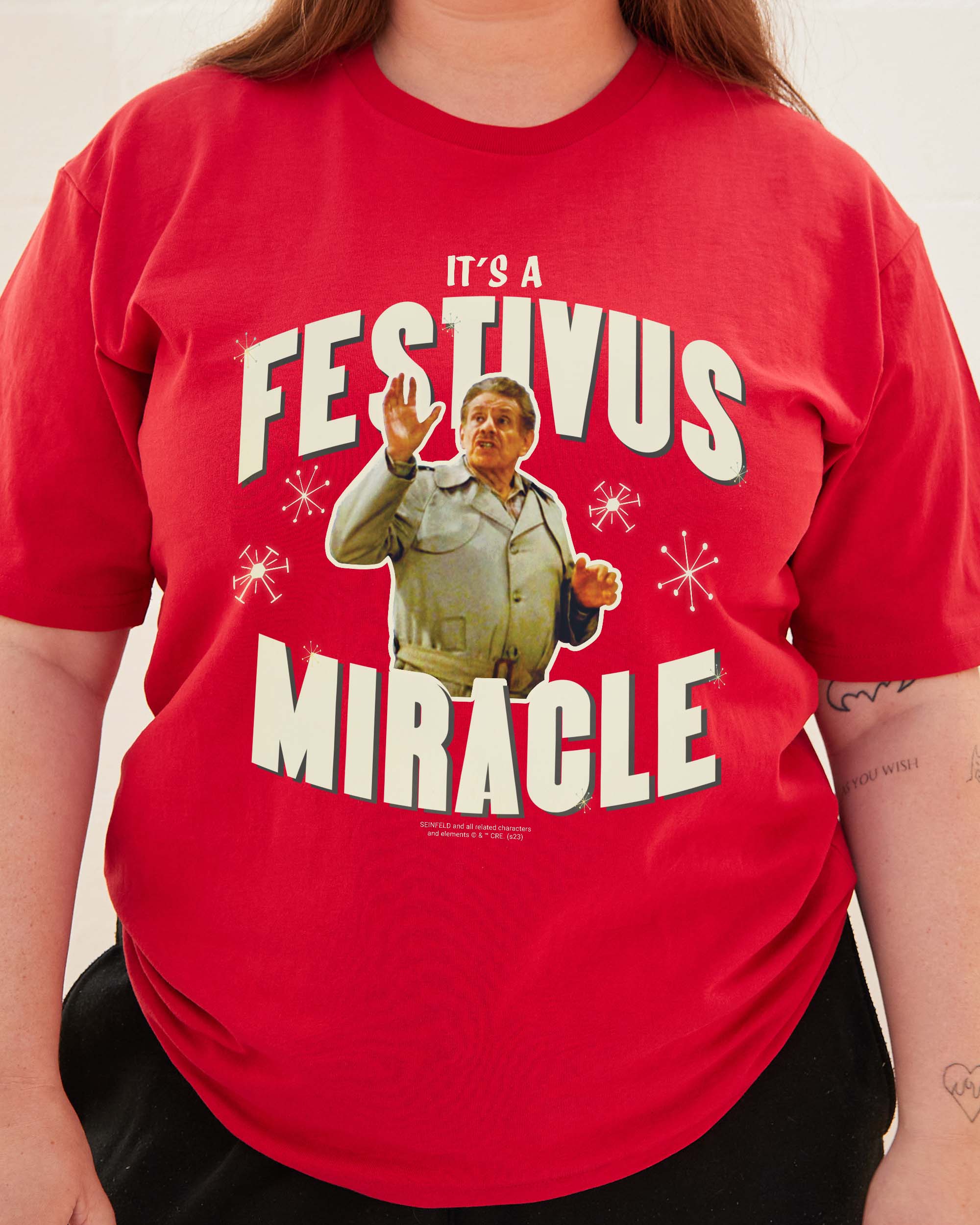 It's A Festivus Miracle T-Shirt