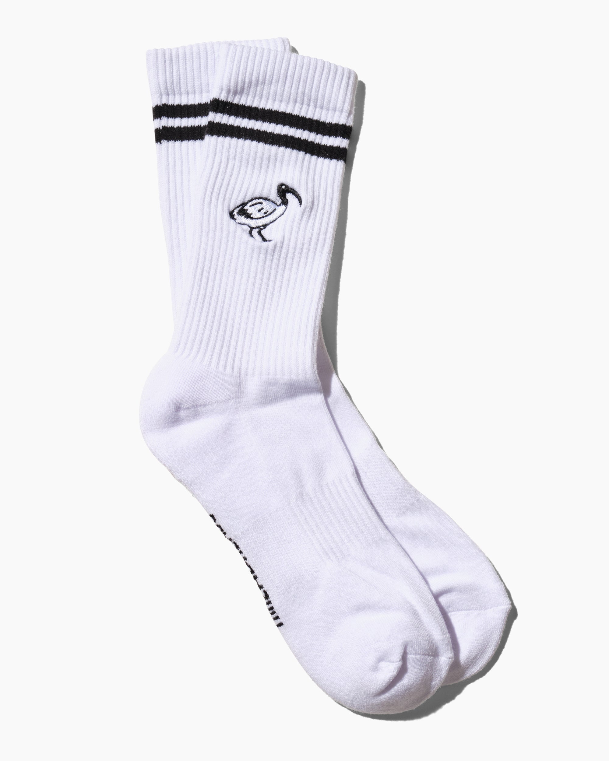 Bin Chicken Collegiate Socks