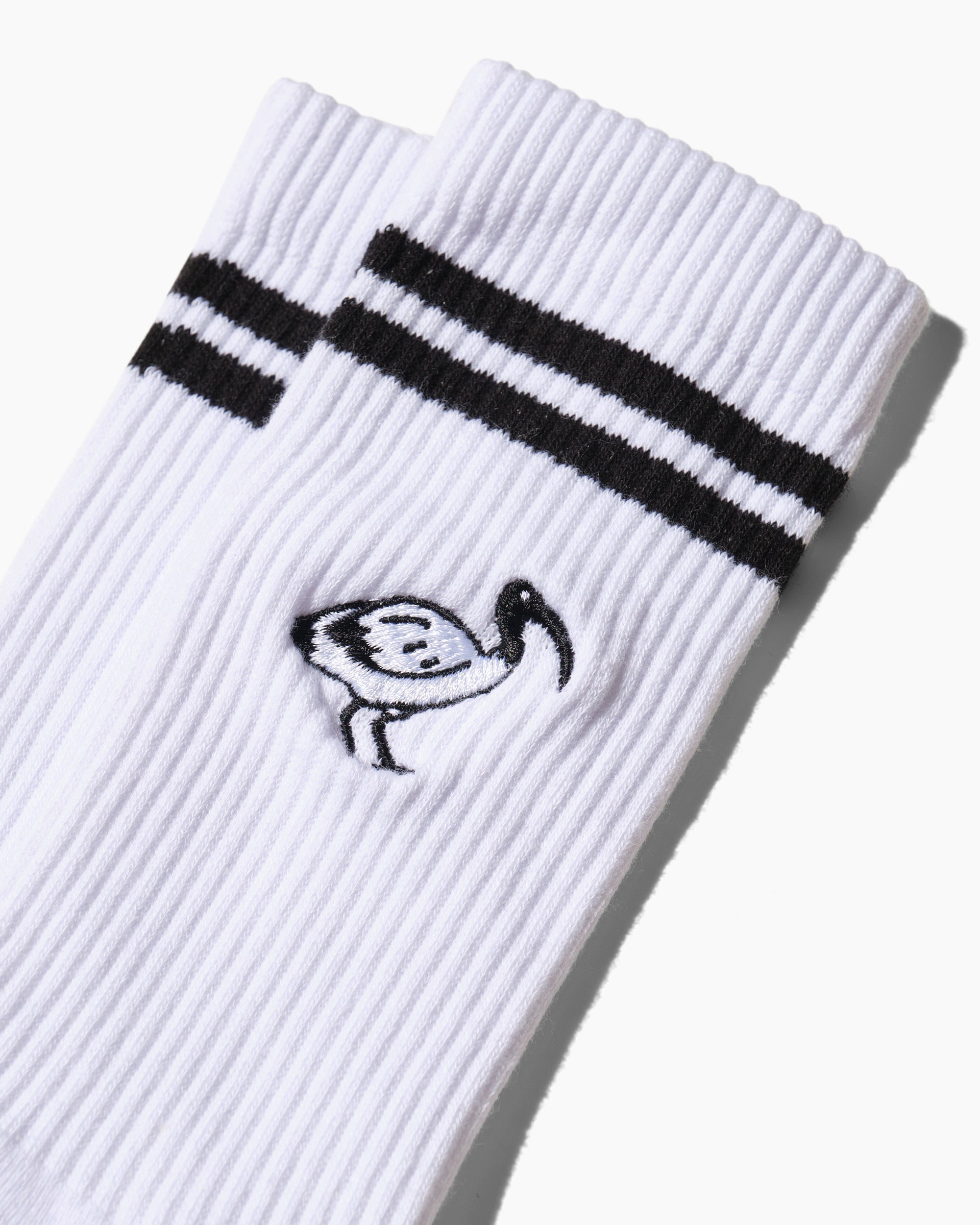 Bin Chicken Collegiate Socks