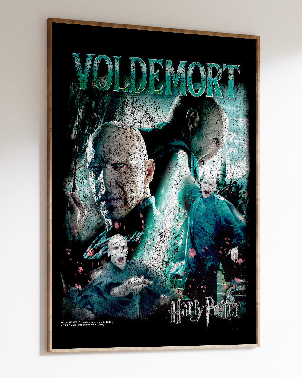 Voldemort Vintage Art Print