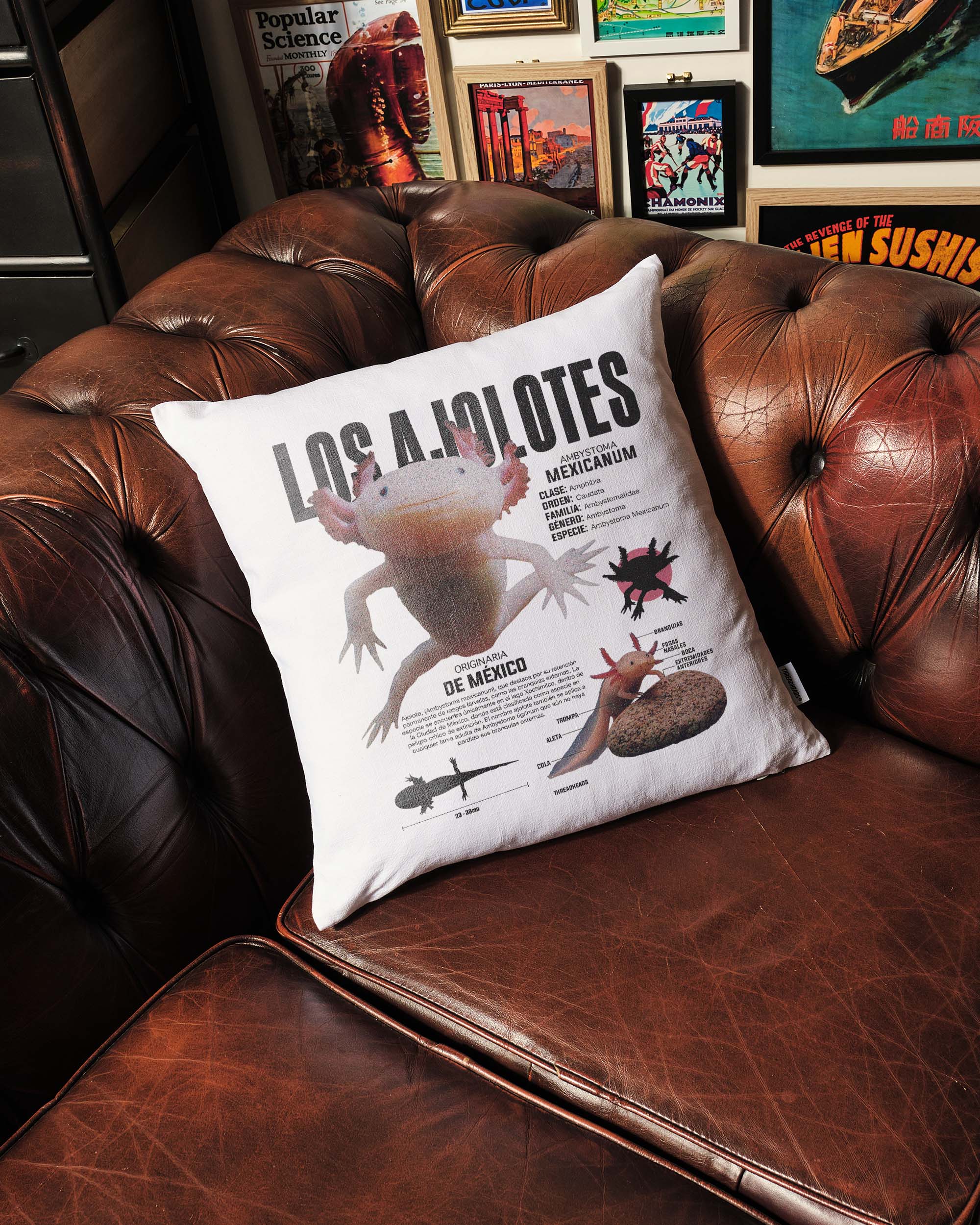 Los Ajolotes Cushion