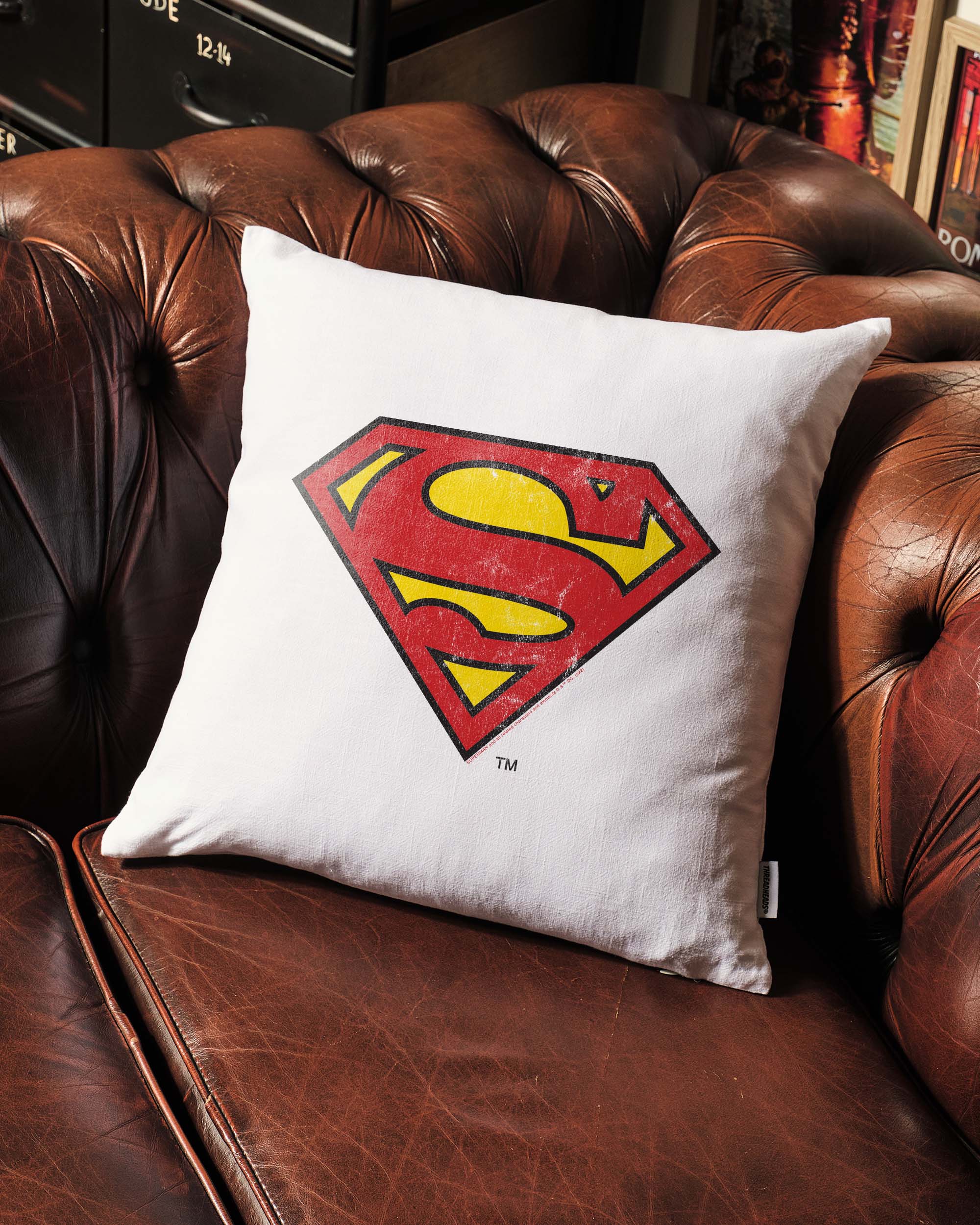 Superman Classic Logo Cushion