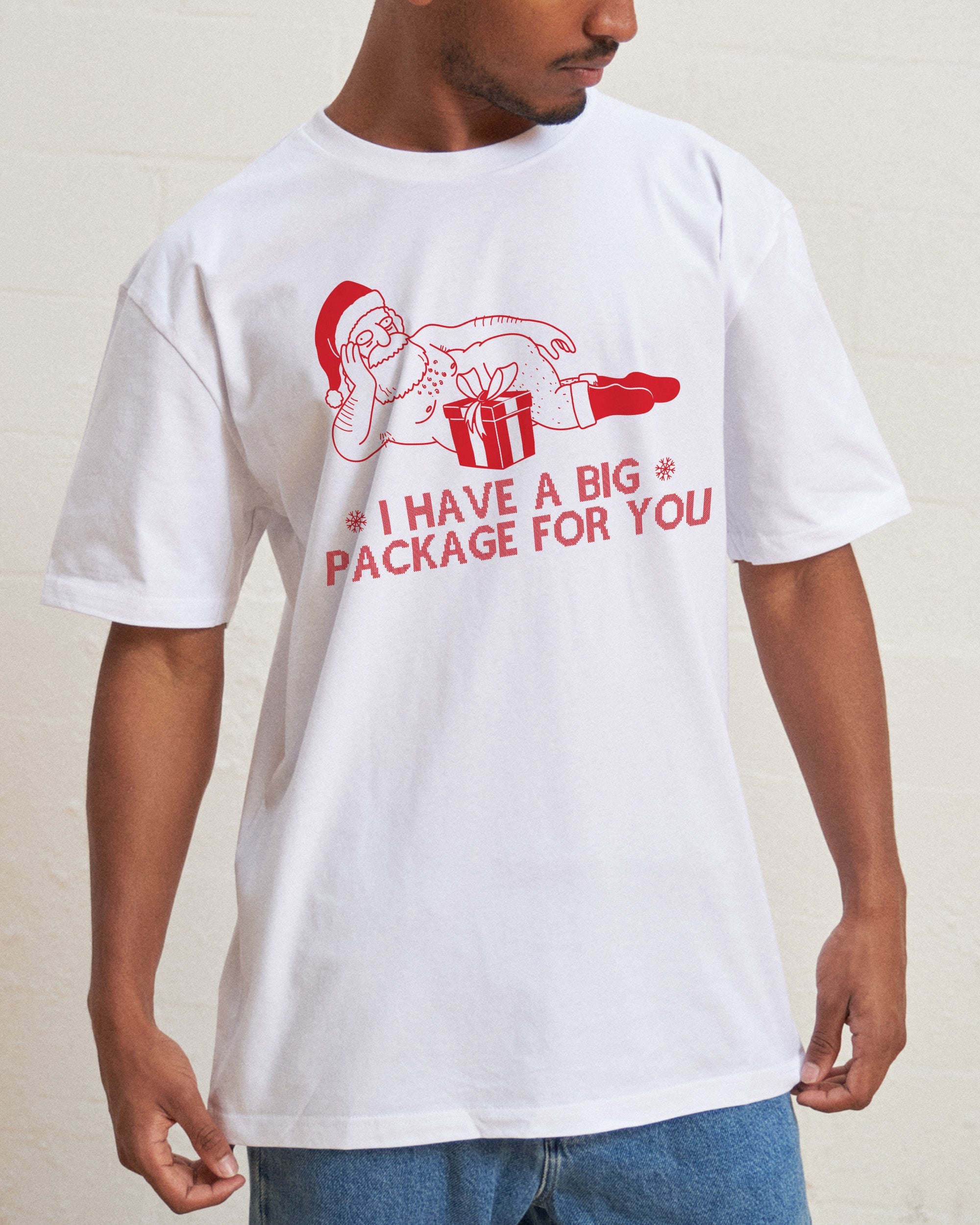 I Have a Big Package T-Shirt