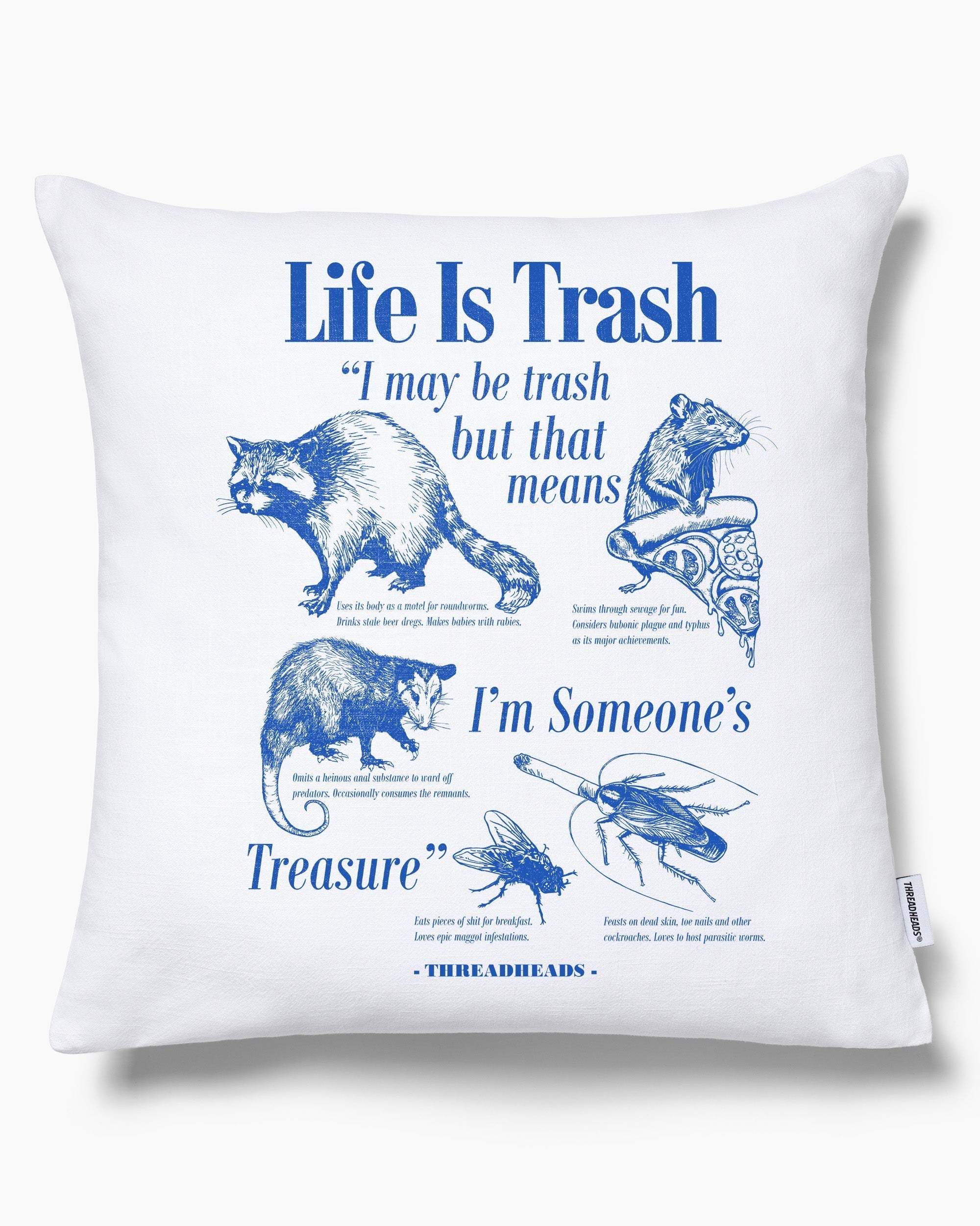 Life Is Trash Cushion