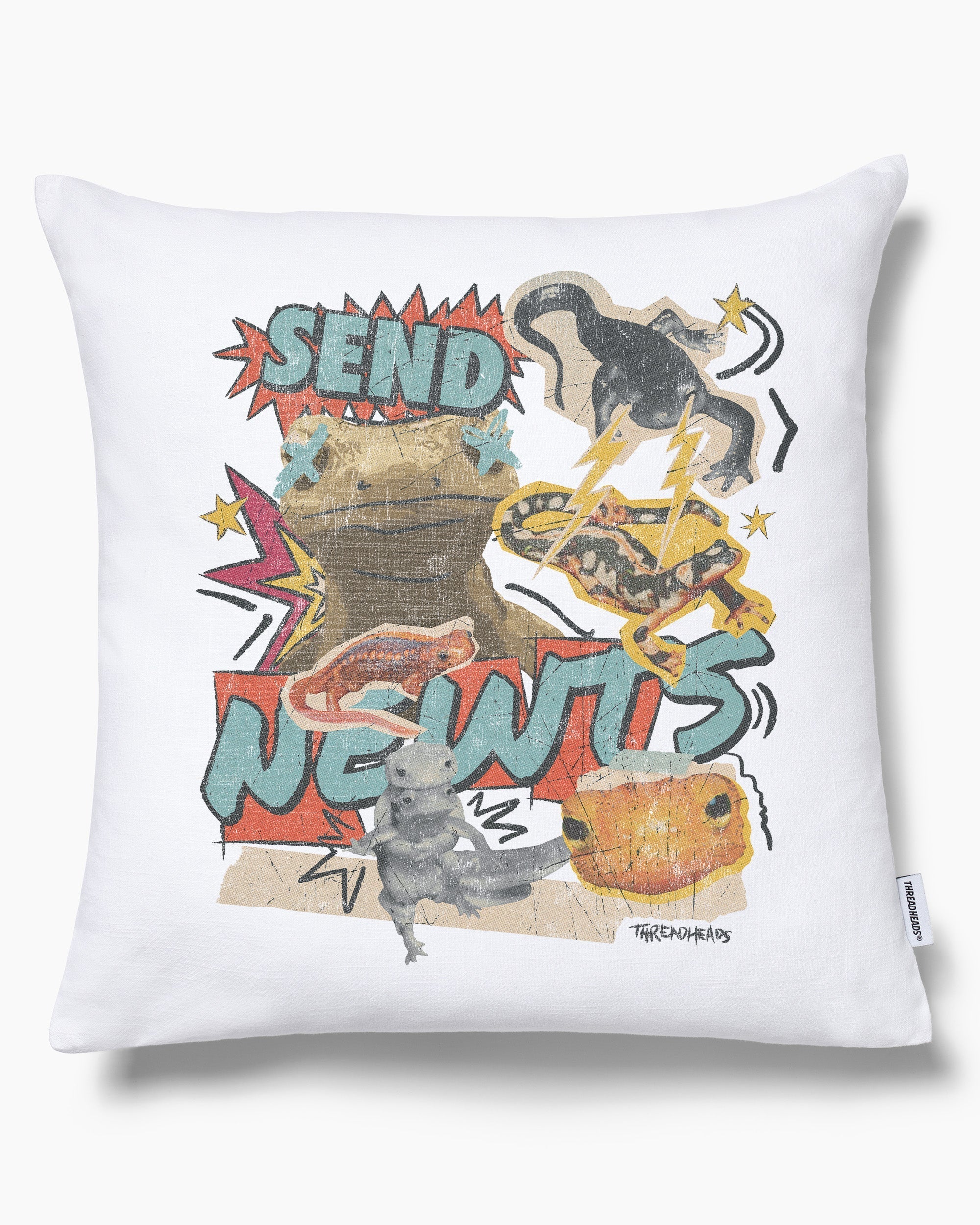 Send Newts Cushion