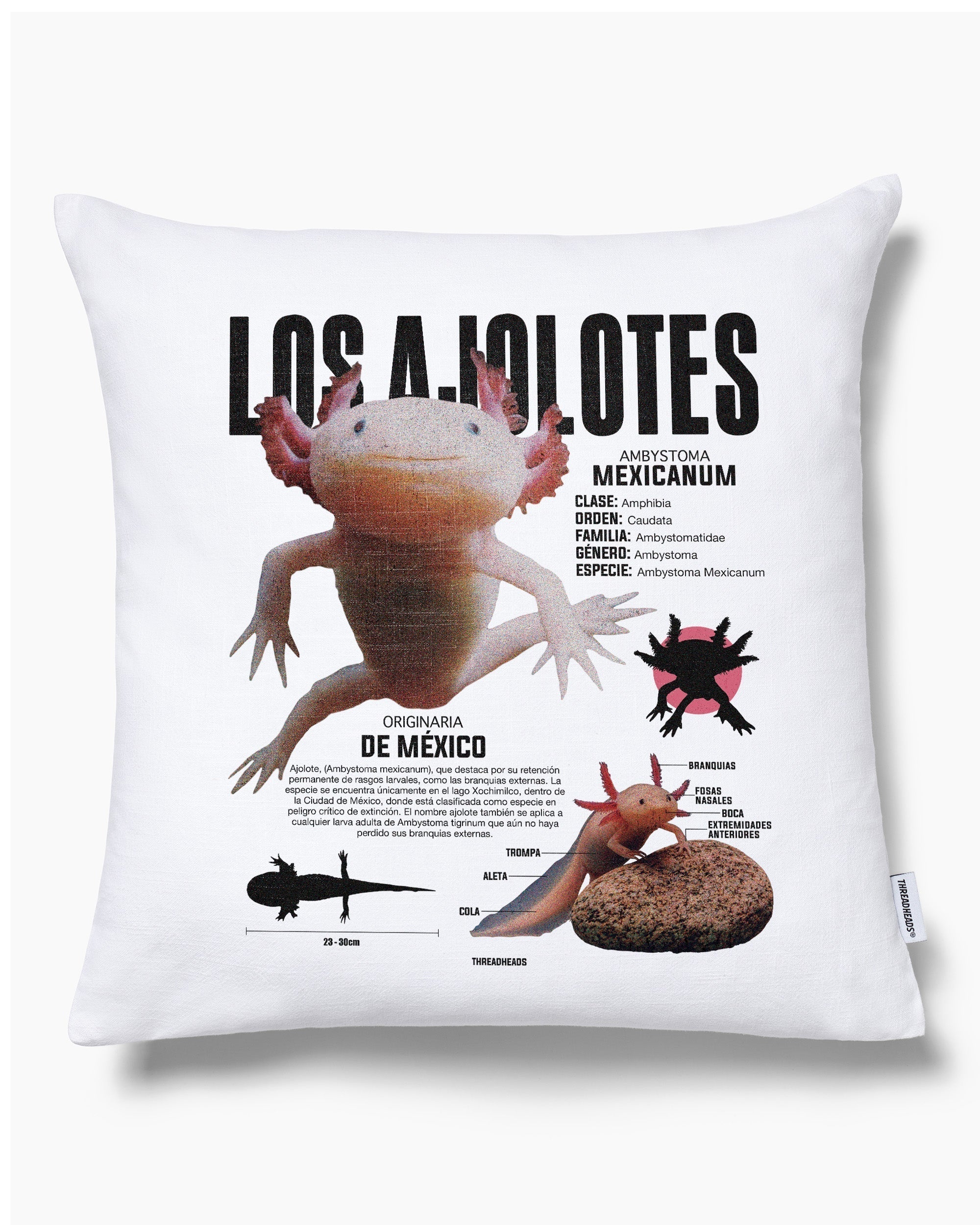 Los Ajolotes Cushion