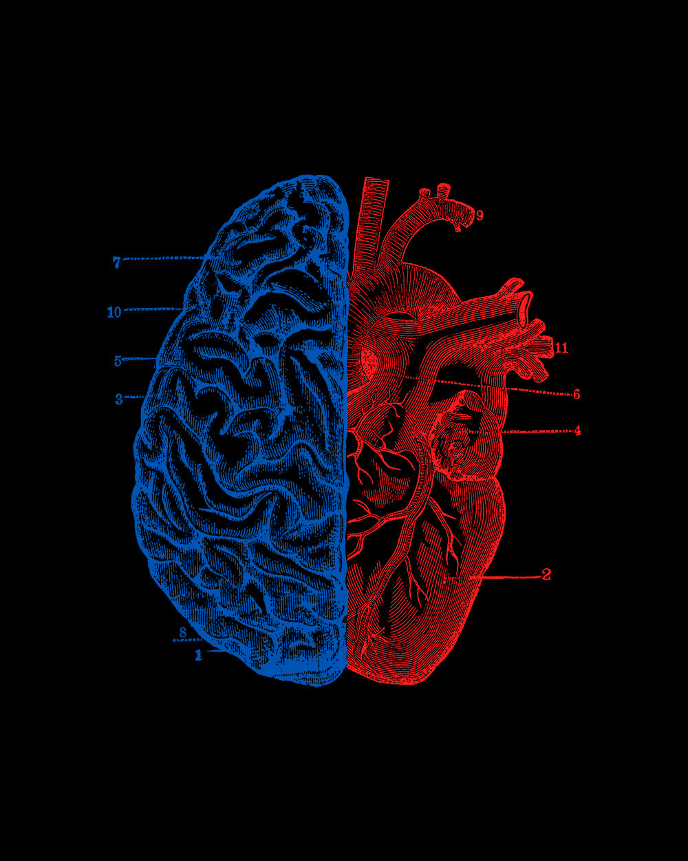 Heart and Brain T-Shirt