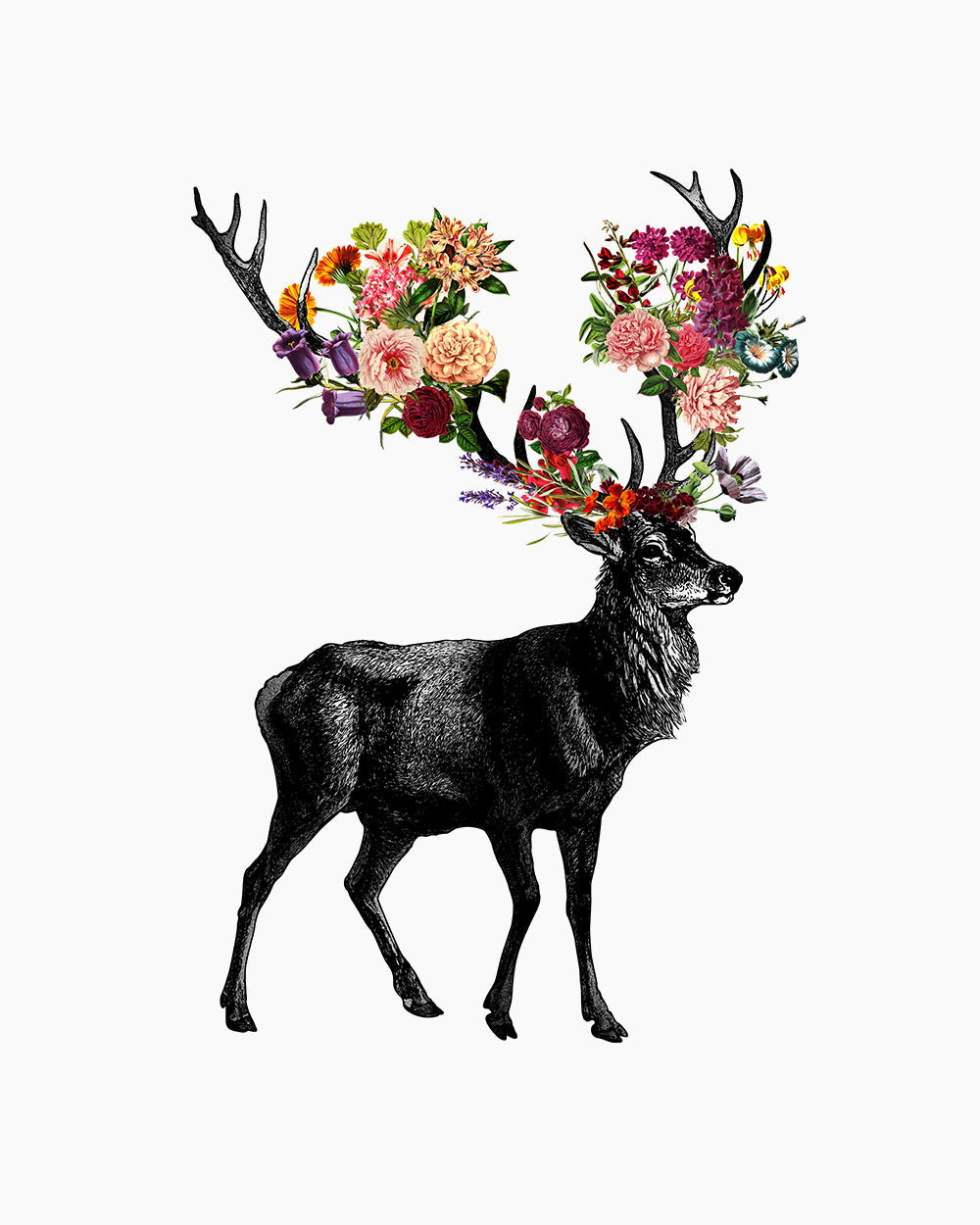 Spring Itself Deer Floral T-Shirt